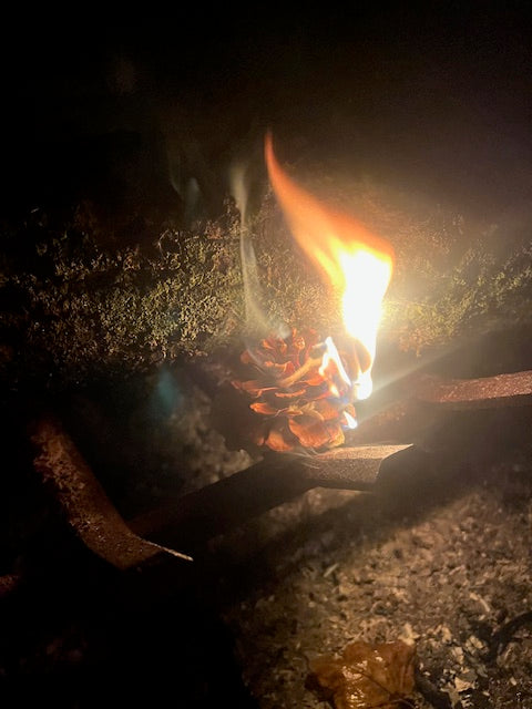 Red Pine and Wax Poured Fire Starter